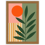 Sun & Stem - Garden Geometry