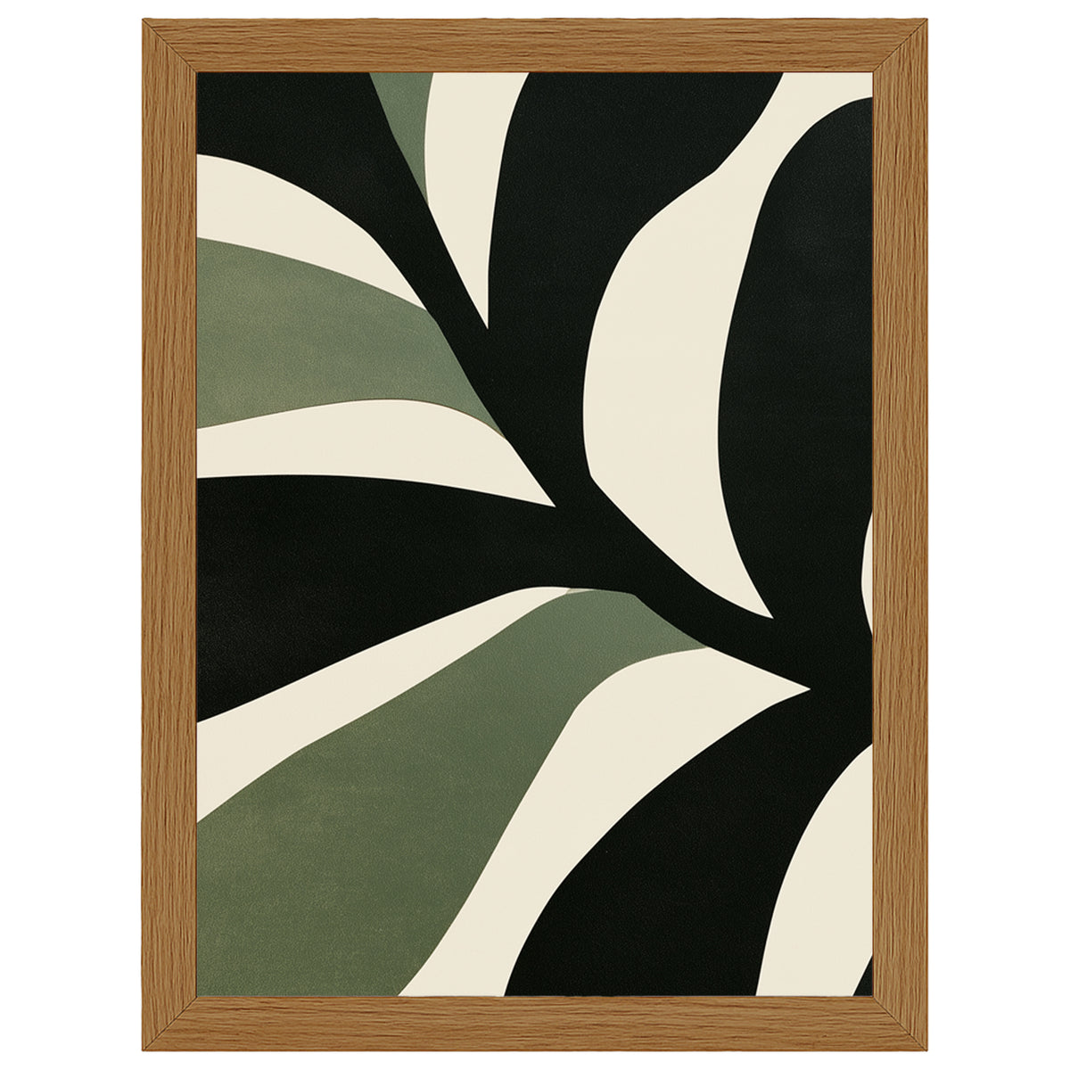 Sculpted Botanicals - Olive Canopy