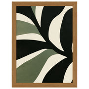 Sculpted Botanicals - Olive Canopy