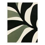 Sculpted Botanicals - Olive Canopy