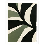 Sculpted Botanicals - Olive Canopy