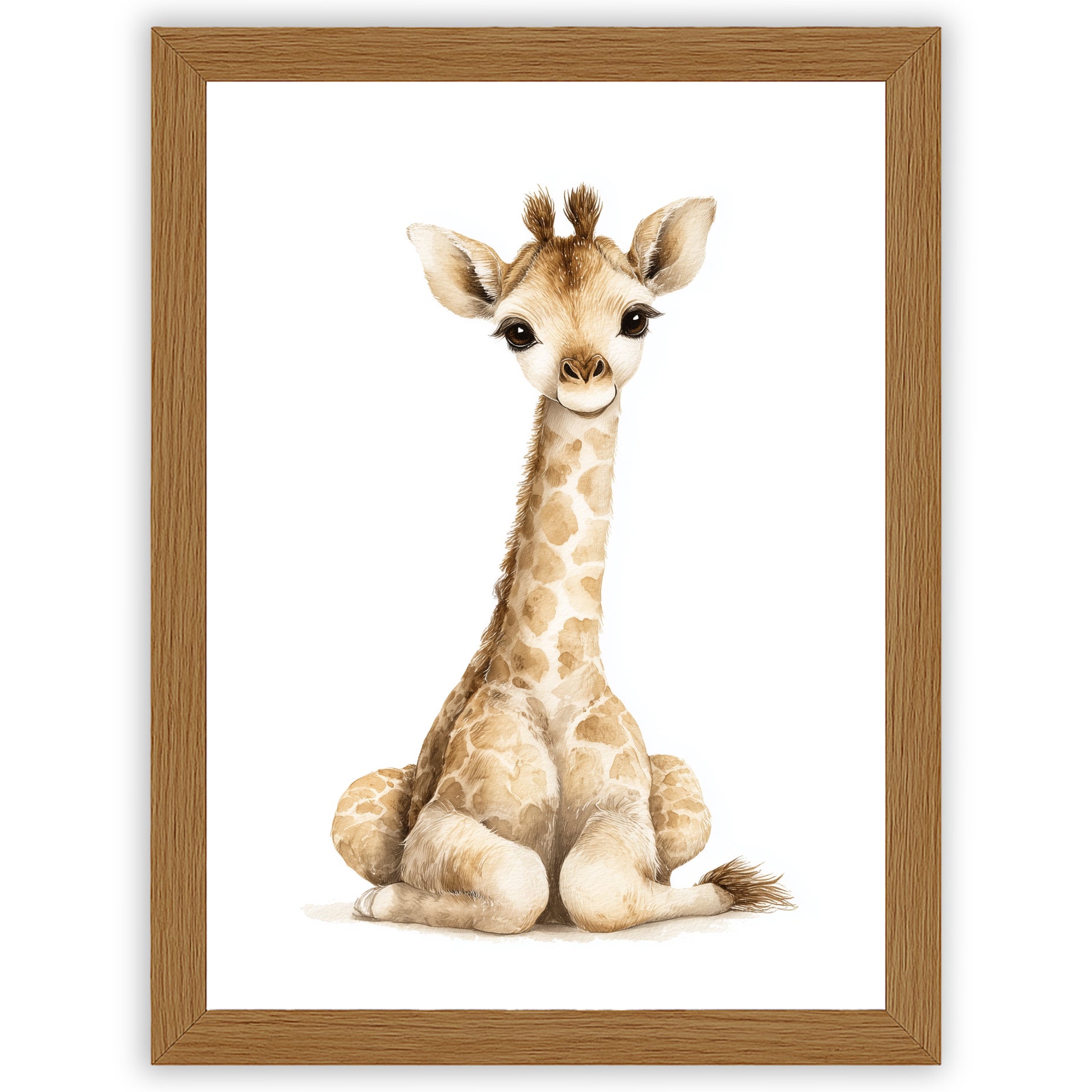 Safari Stories – Baby Giraffe