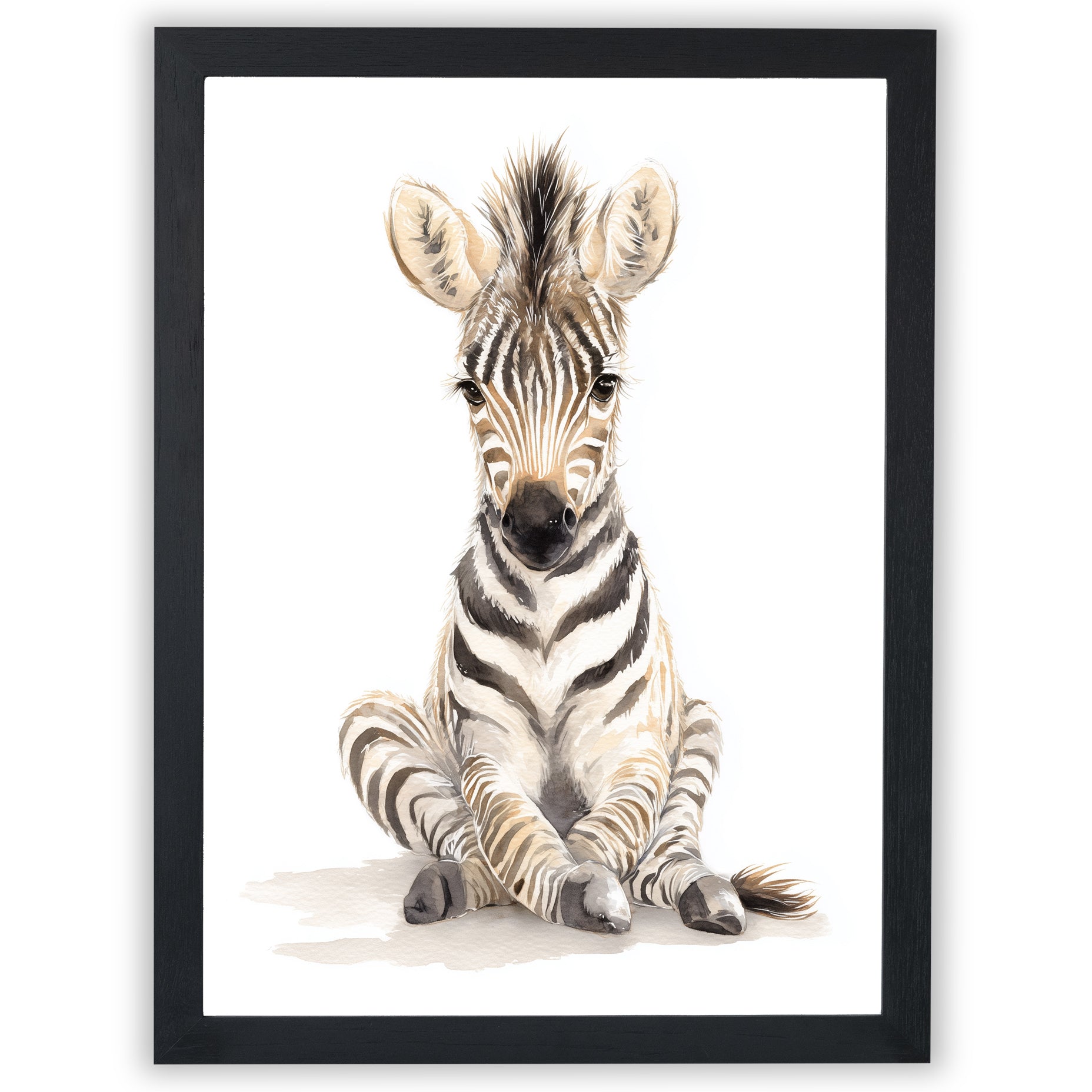 Safari Stories – Baby Zebra