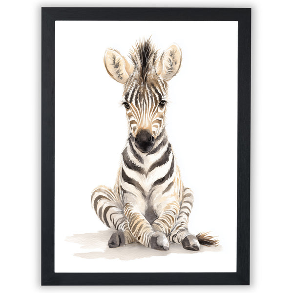 Safari Stories – Baby Zebra