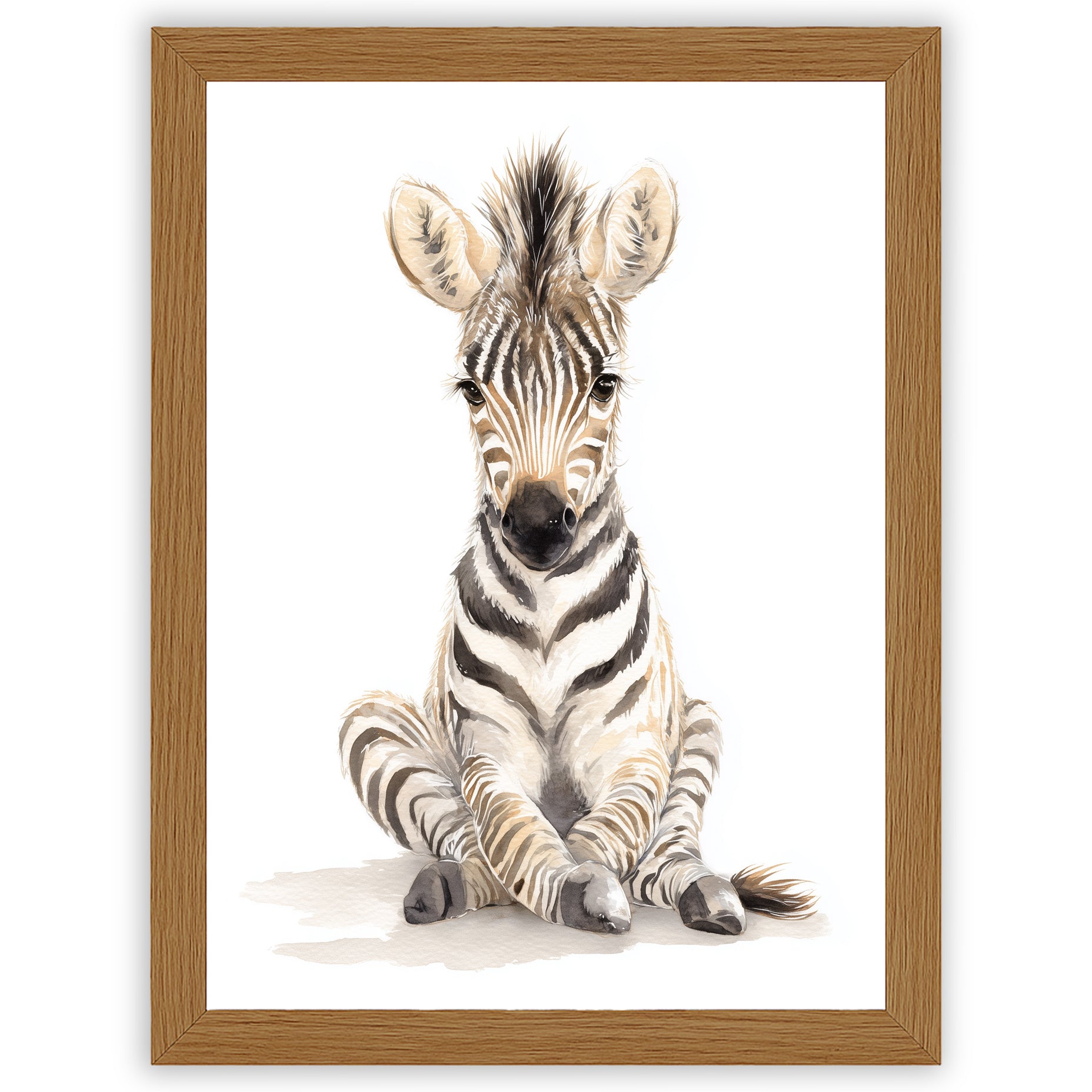 Safari Stories – Baby Zebra