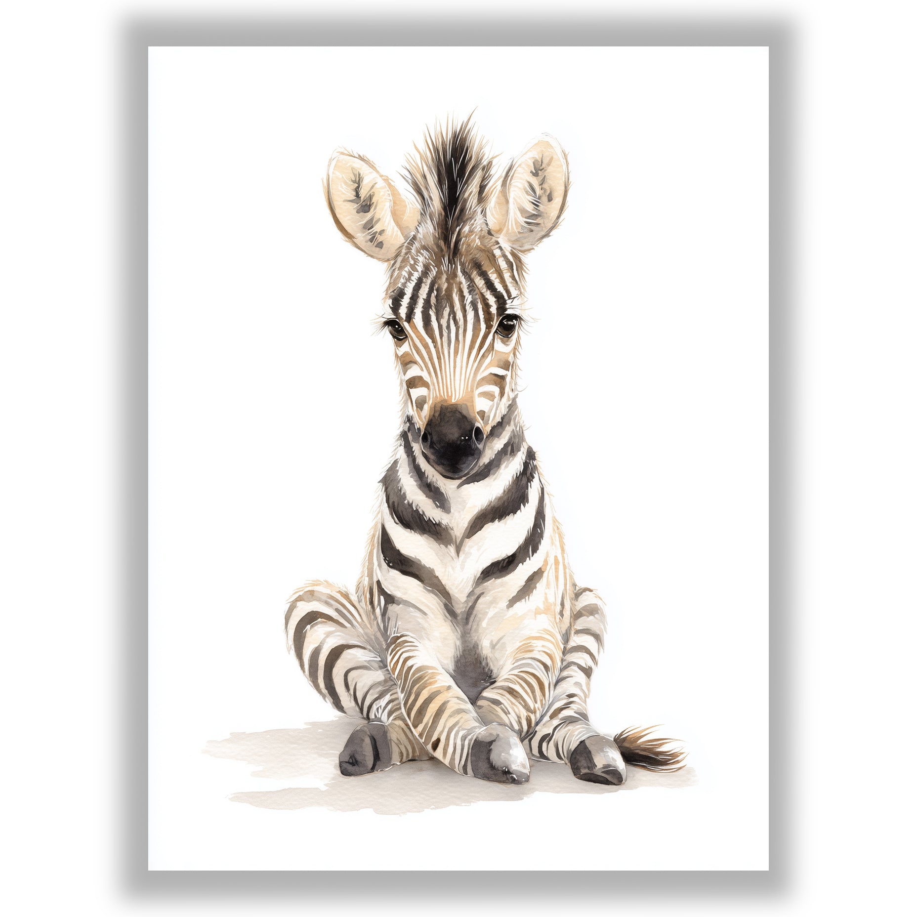 Safari Stories – Baby Zebra