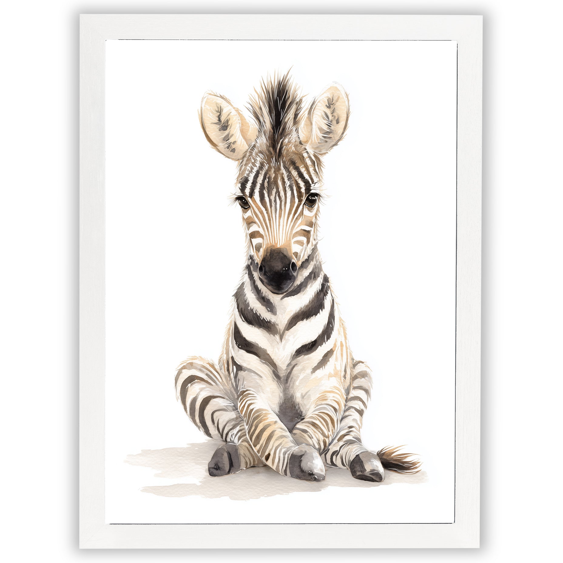 Safari Stories – Baby Zebra