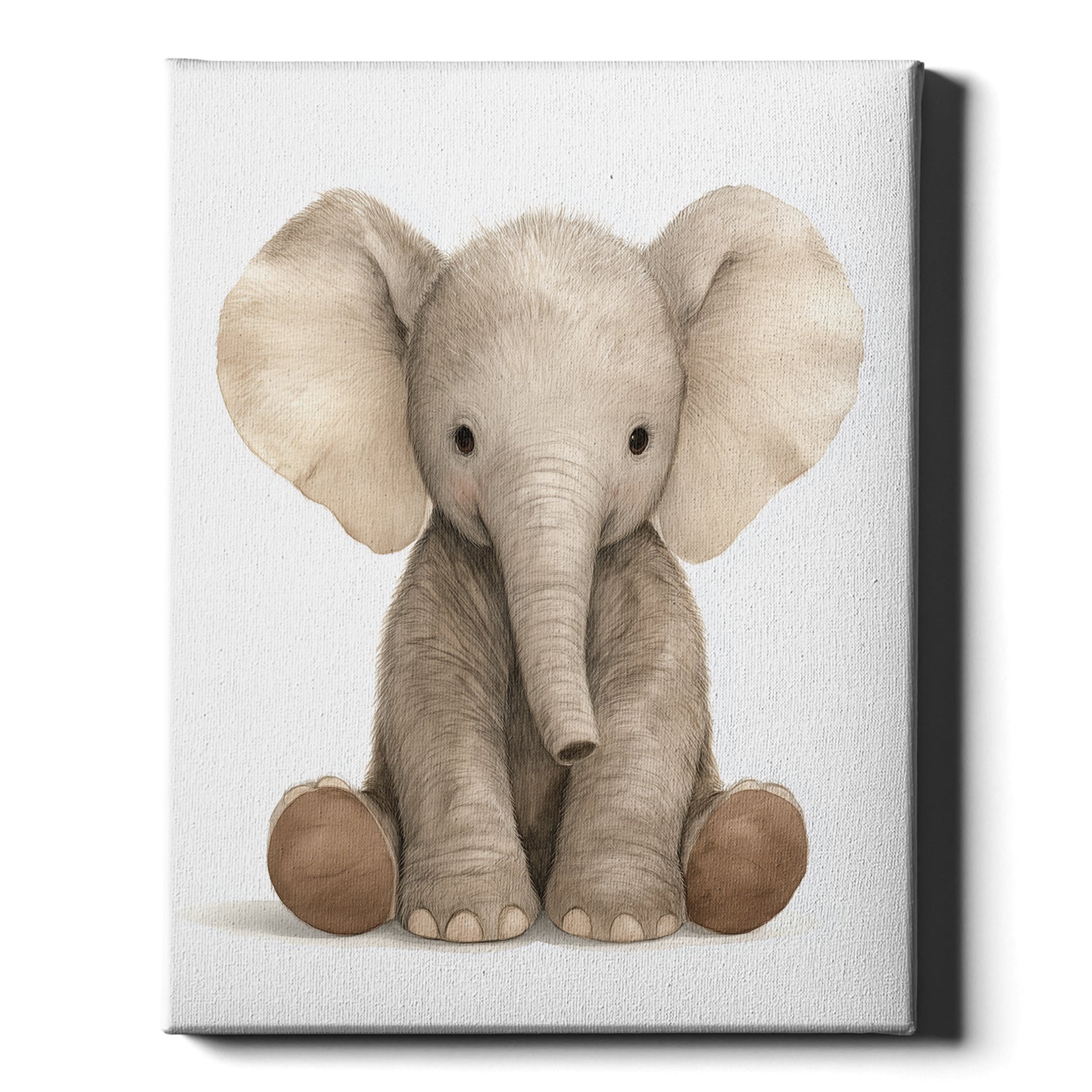 Safari Stories – Baby Elephant