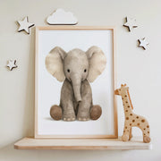 Safari Stories – Baby Elephant