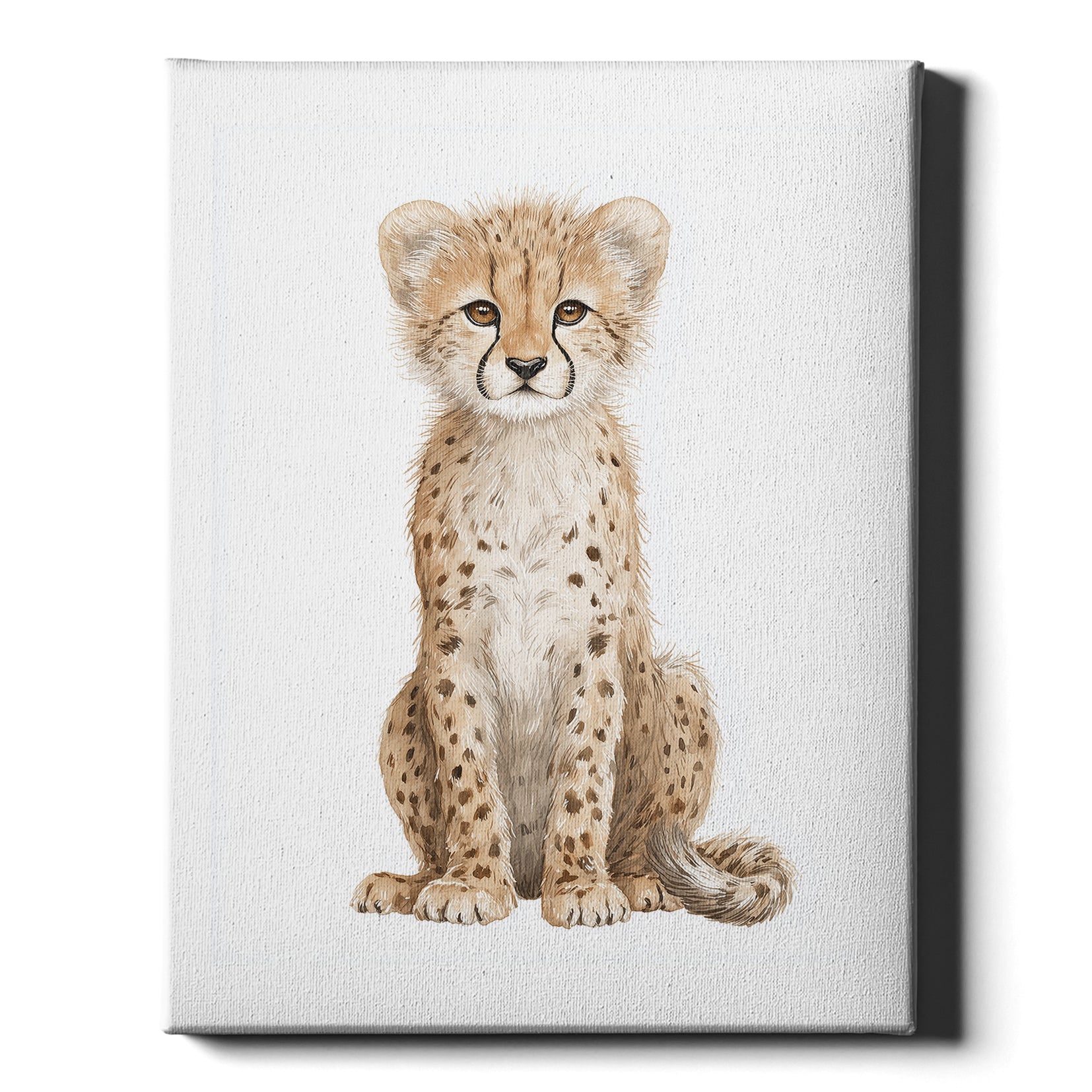 Safari Stories – Cheetah Cub