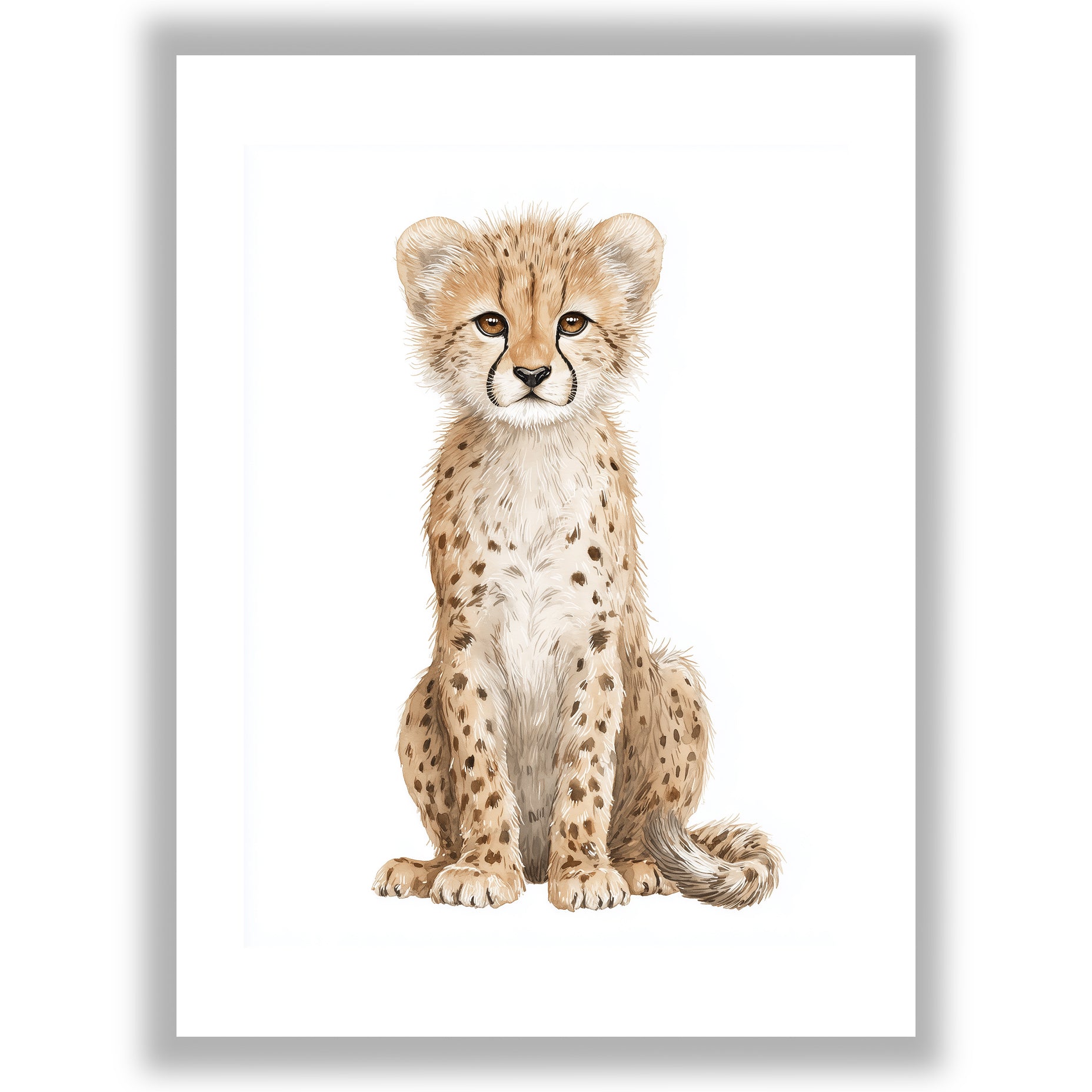 Safari Stories – Cheetah Cub