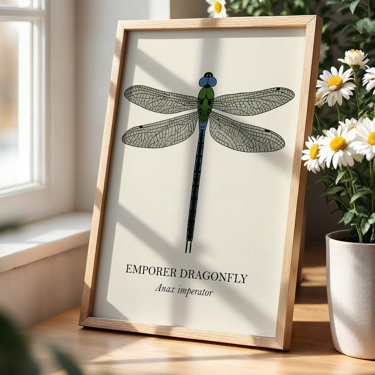 Natural History - Emperor Dragonfly