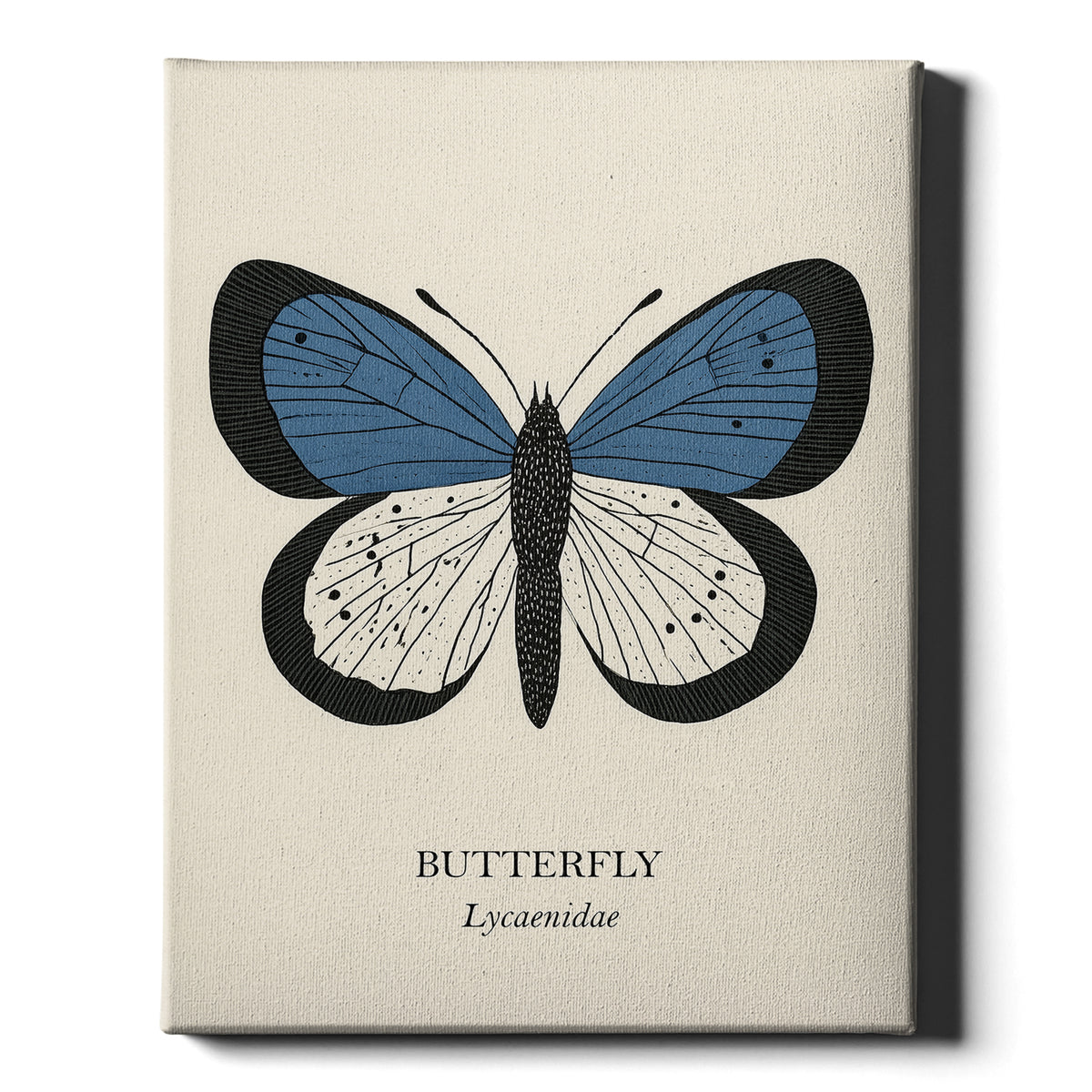Natural History - Blue Butterfly
