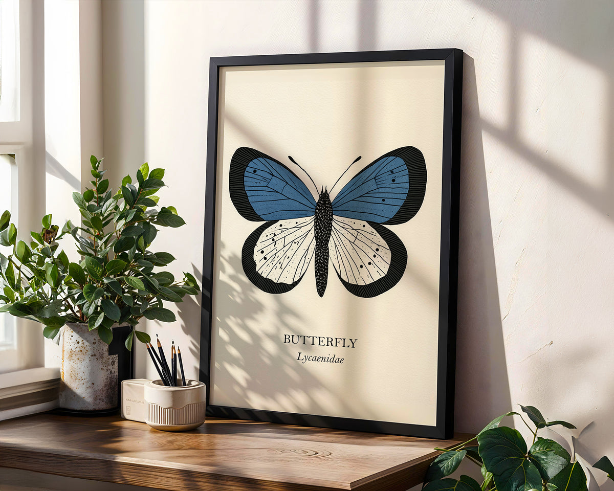 Natural History - Blue Butterfly