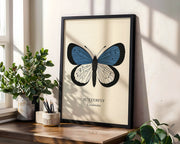 Natural History - Blue Butterfly