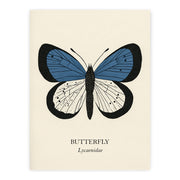 Natural History - Blue Butterfly