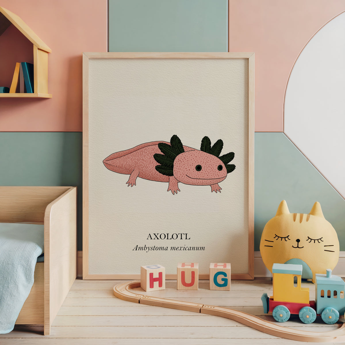 Natural History - Pink Axolotl