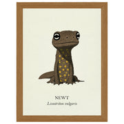 Natural History - Common Newt
