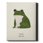 Green Toad natural history print, green toad on cream, on wrapped canvas