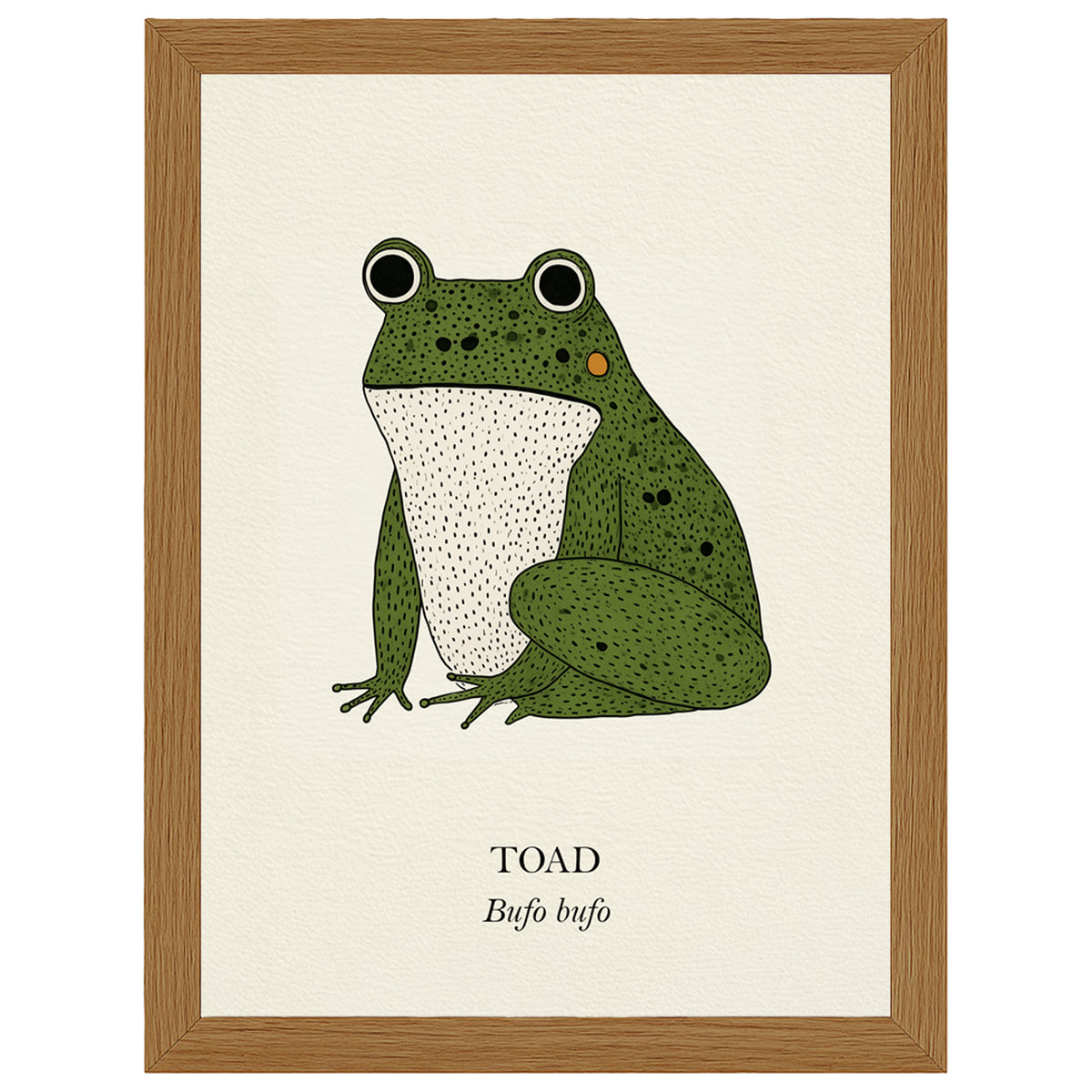 Green Toad natural history print, green toad on cream, in an oak-effect frame