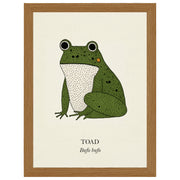 Green Toad natural history print, green toad on cream, in an oak-effect frame