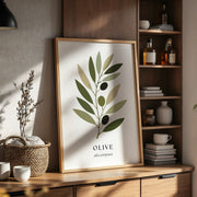 Botanical Studies – Olive