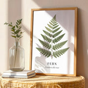 Botanical Studies – Fern