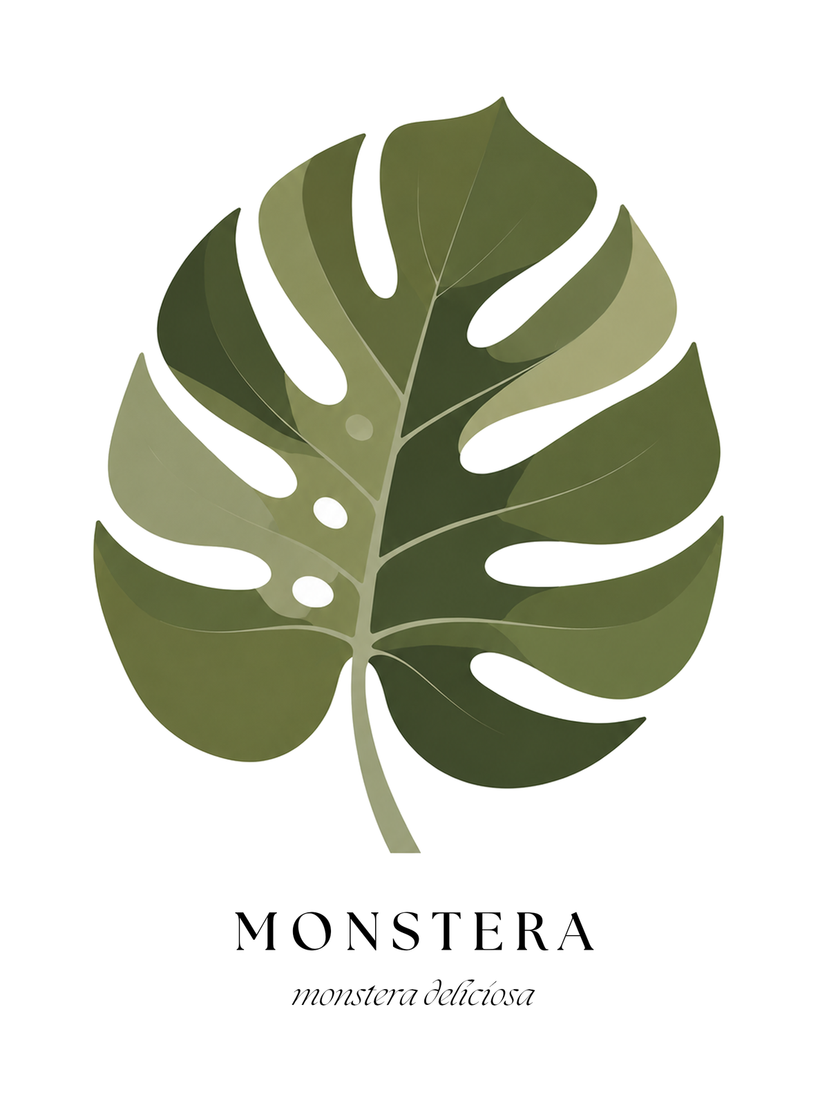 Botanical Studies – Monstera