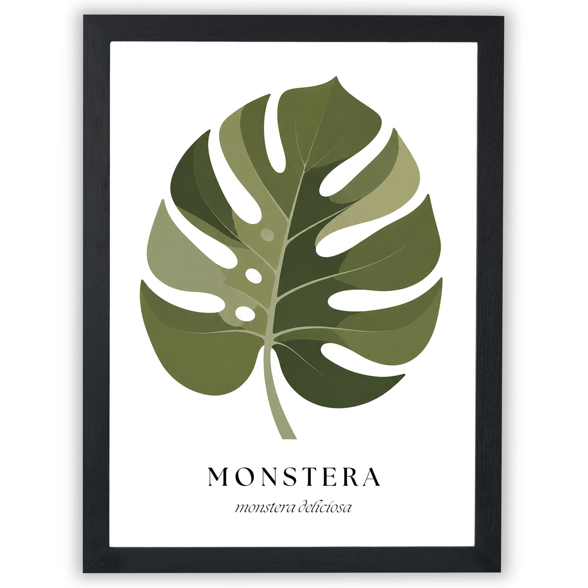 Botanical Studies – Monstera