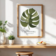 Botanical Studies – Monstera