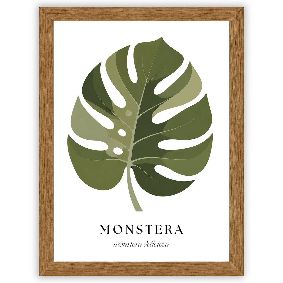 Botanical Studies – Monstera