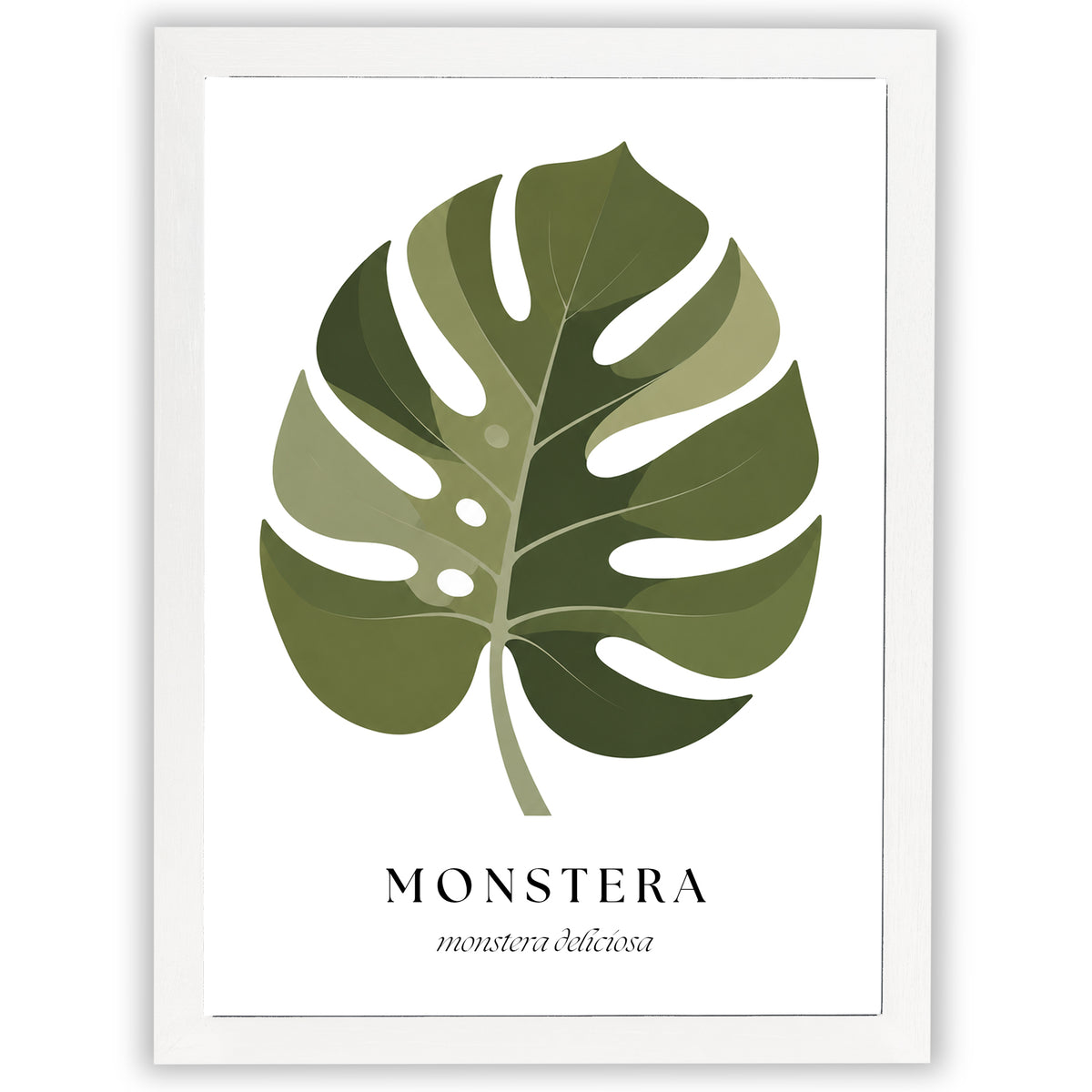 Botanical Studies – Monstera