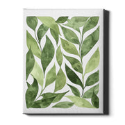 Soft Botanicals – Leaf Study