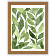 Soft Botanicals – Leaf Study