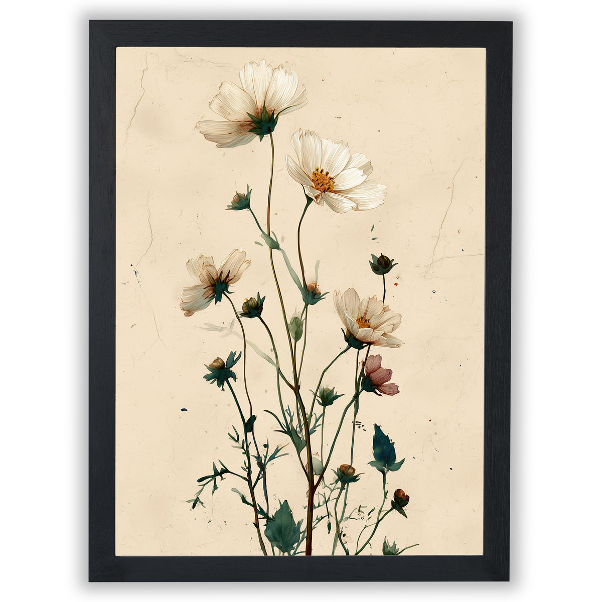 Wildflower Study – Meadow Bloom