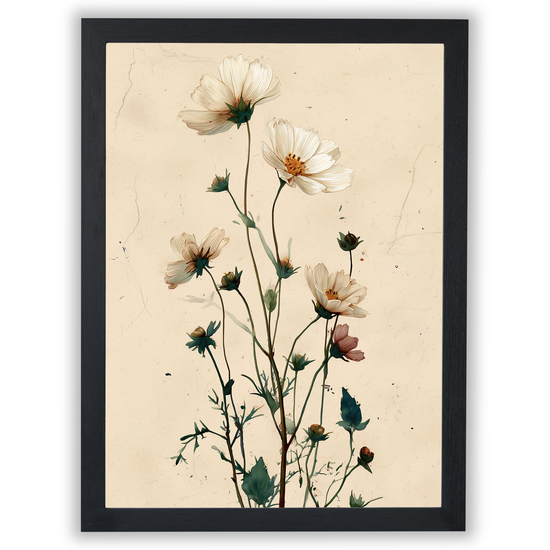 Wildflower Study – Meadow Bloom