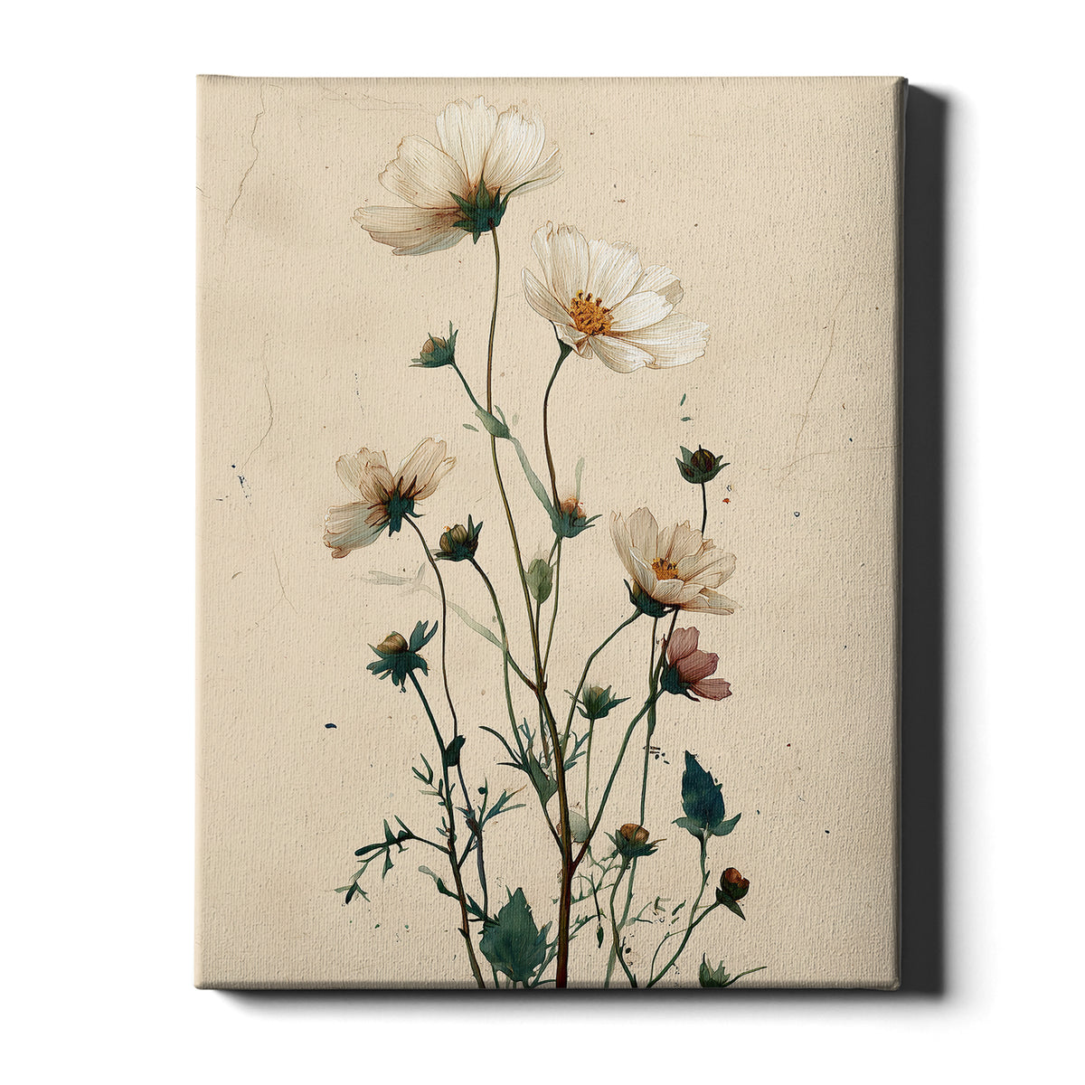 Wildflower Study – Meadow Bloom