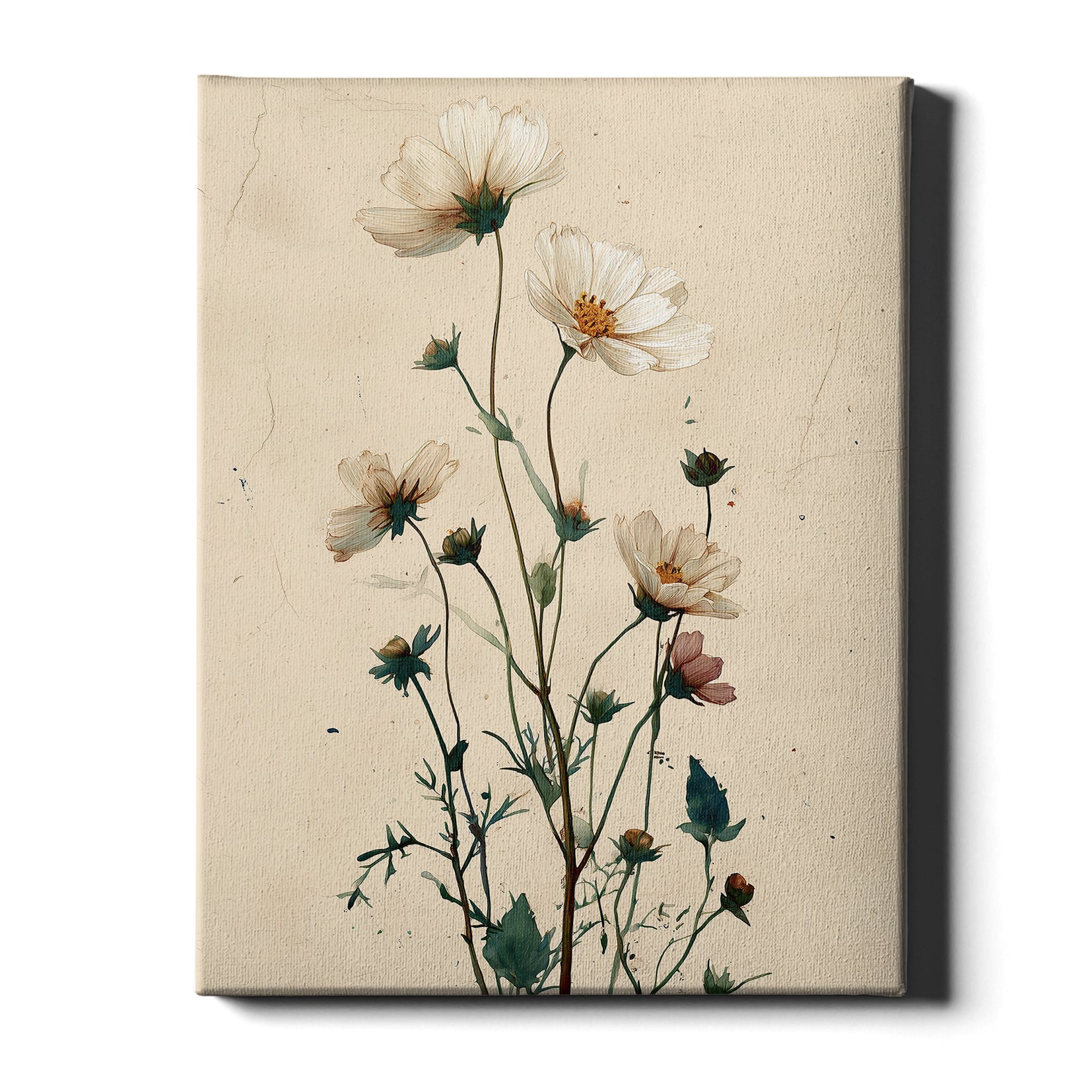 Wildflower Study – Meadow Bloom