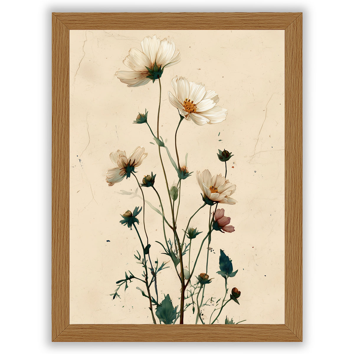 Wildflower Study – Meadow Bloom