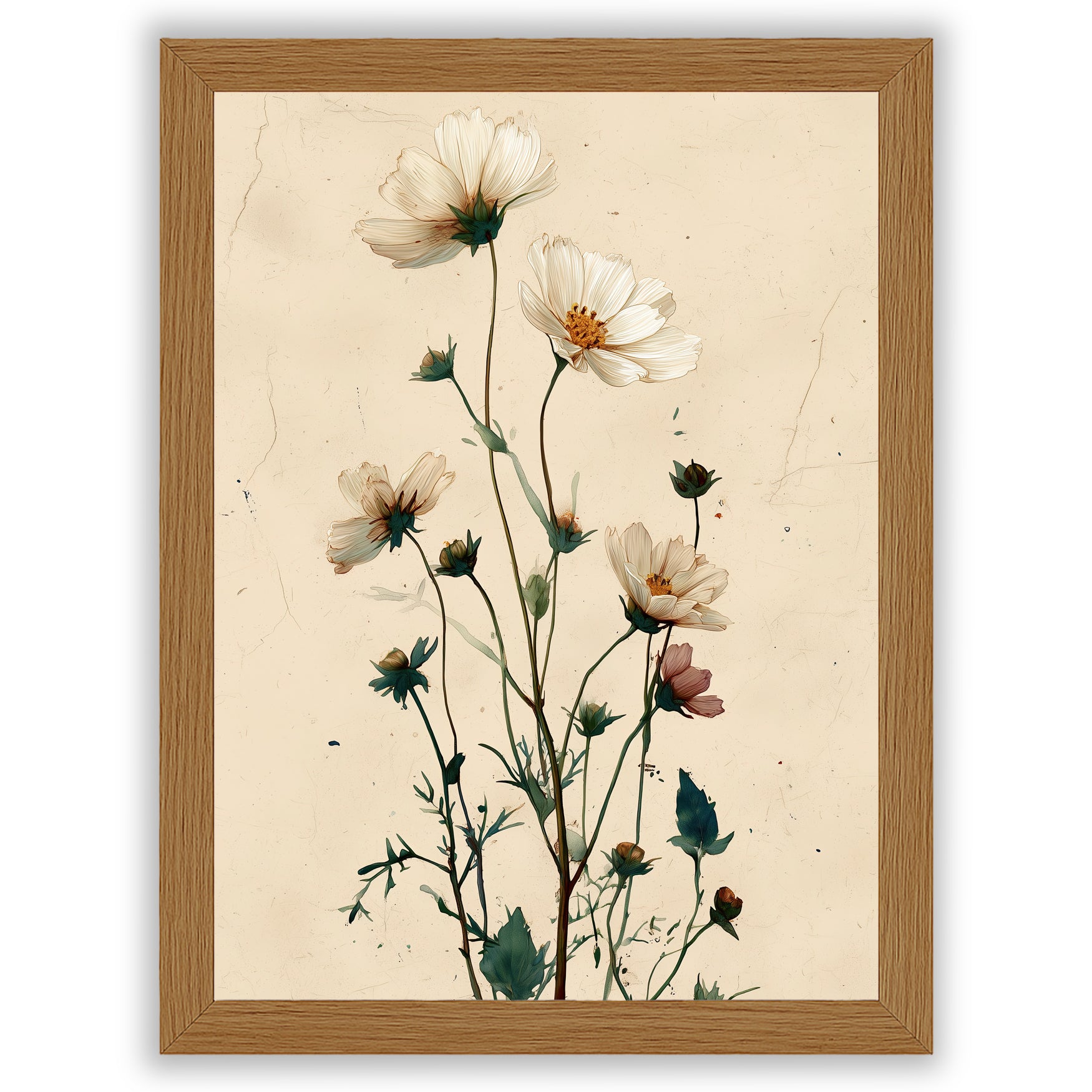 Wildflower Study – Meadow Bloom