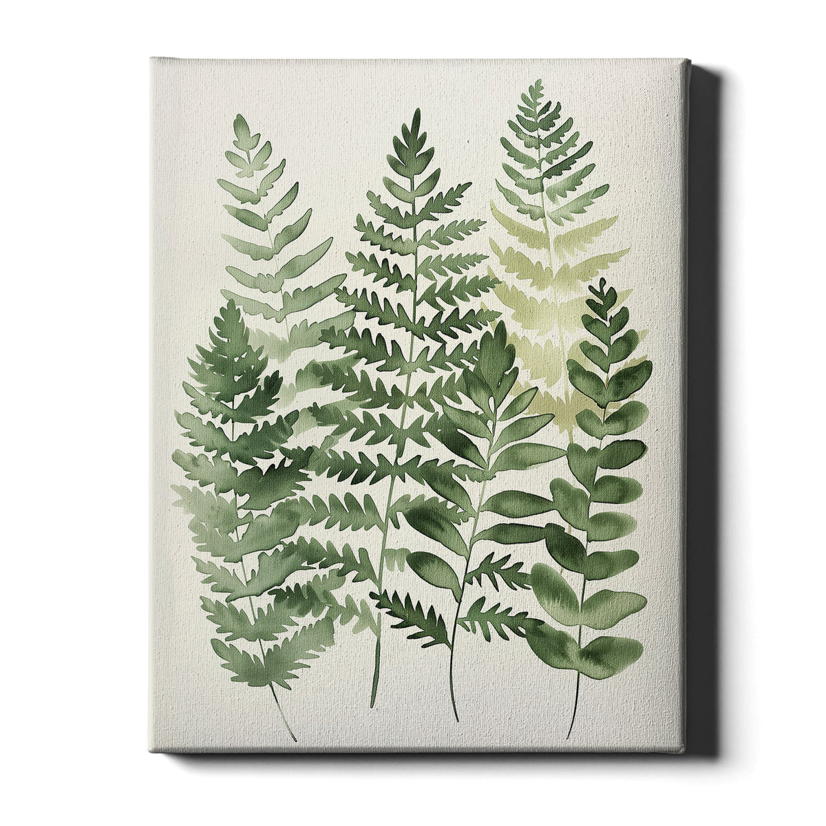 Soft Botanicals – Forest Ferns
