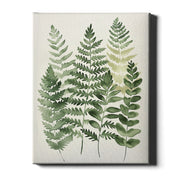 Soft Botanicals – Forest Ferns