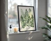 Soft Botanicals – Forest Ferns