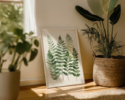 Soft Botanicals – Forest Ferns