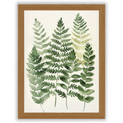 Soft Botanicals – Forest Ferns