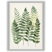 Soft Botanicals – Forest Ferns