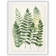 Soft Botanicals – Forest Ferns