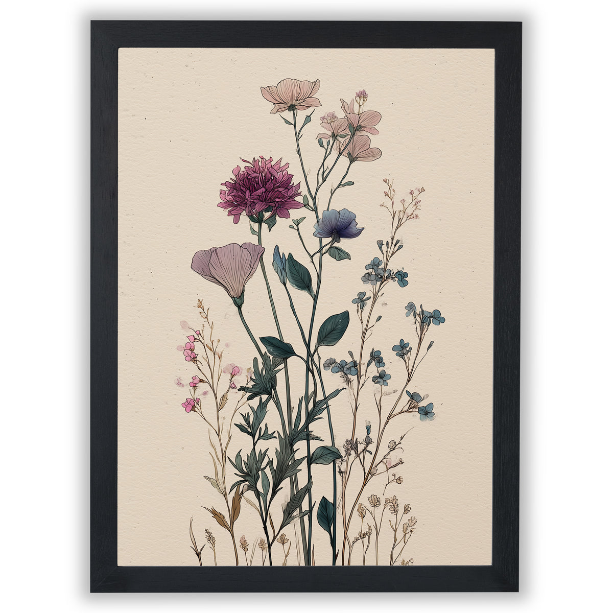 Wildflower Study – Quiet Cosmos