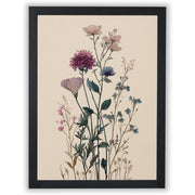 Wildflower Study – Quiet Cosmos