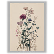 Wildflower Study – Quiet Cosmos
